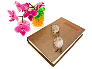 Growing Orchids For Beginners