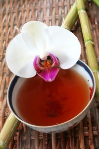 Orchids as Medicine