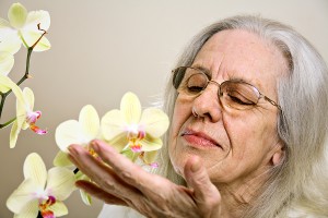 Grandmother with Orchid