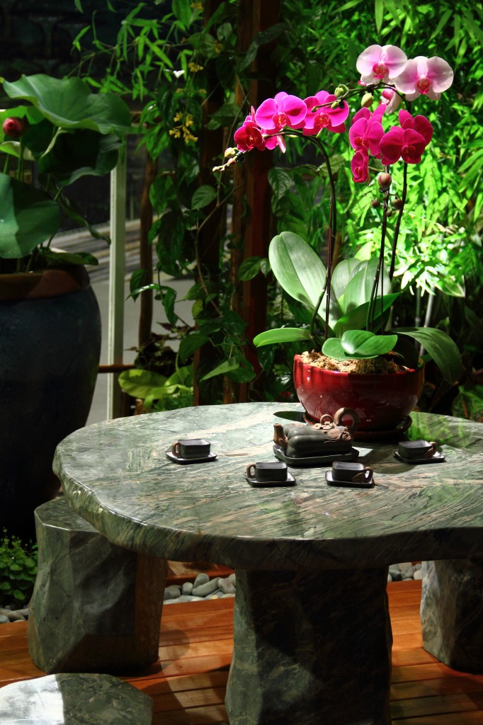 4 Easy Ideas to Display Your Orchids and Keep Them Fresh Orchid Care Zone