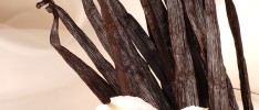 A History of the Vanilla Orchid