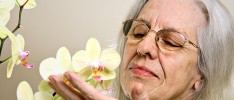 Grandmother with Orchid