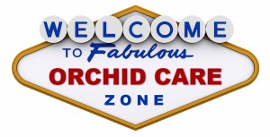 Orchid Care Zone Welcome!