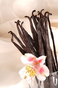 A History of the Vanilla Orchid