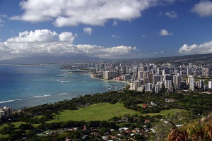 Hawaiian Orchid Dwindling