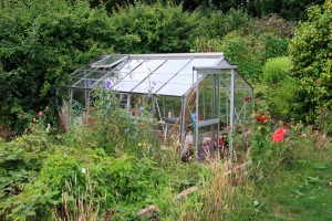 Greenhouse Covers for Orchids